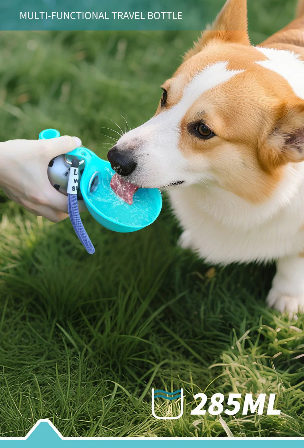 2-in-1 Tragbare Hundewasserflasche – Auslaufsicher & Kompakt für Unterwegs