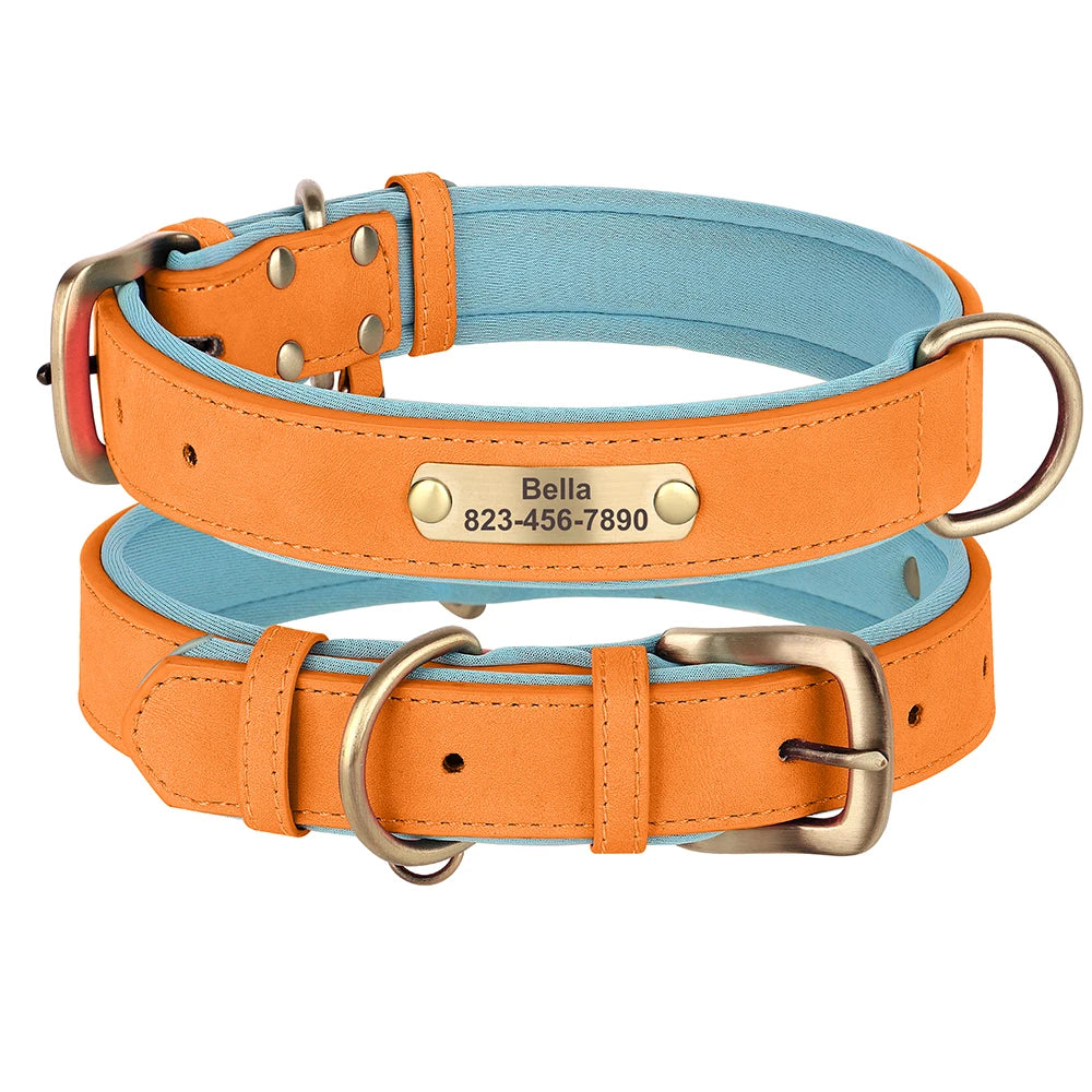 Personalisiertes Lederhalsband